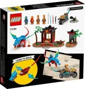 Ninja Dragon Temple - View 3