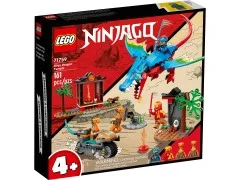 Ninja Dragon Temple - View 4