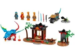 Ninja Dragon Temple - View 5
