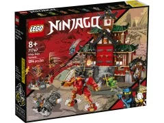 Ninja Dojo Temple - View 2
