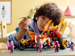 Kai's Golden Dragon Raider - View 7