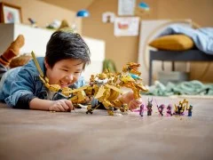 Lloyd's Golden Ultra Dragon - View 6