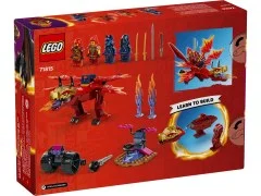 Kai's Source Dragon Battle - View 3