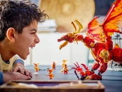 Source Dragon of Motion - View 8