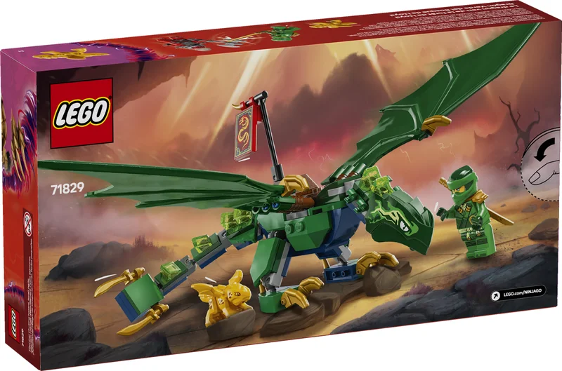 Lloyd's Green Forest Dragon - View 6