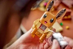 Eevee and Lapras's Treasure Hunt - View 8