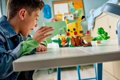 Training House with Pikachu - View 5