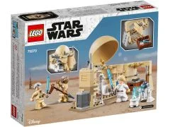 Obi-Wan's Hut - View 5