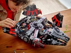The Dark Falcon - View 5