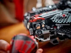 The Dark Falcon - View 7