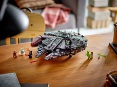 The Dark Falcon - View 8
