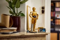 C-3PO - View 7
