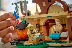 Yoda's Hut and Jedi Training - View 8