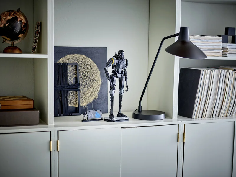 K-2SO - View 5