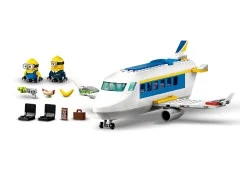 Minion Pilot in Training - View 5