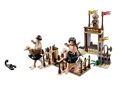 The Ostrich Race - View 3