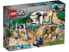 Triceratops Rampage - View 2
