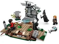 The Rise of Voldemort - View 3