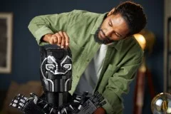 Black Panther - View 8
