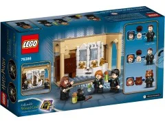 Hogwarts: Polyjuice Potion Mistake - View 3
