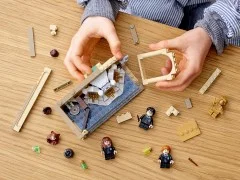 Hogwarts: Polyjuice Potion Mistake - View 4