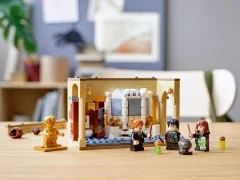Hogwarts: Polyjuice Potion Mistake - View 6