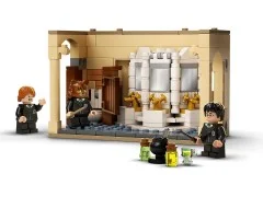 Hogwarts: Polyjuice Potion Mistake - View 7