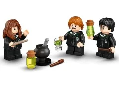 Hogwarts: Polyjuice Potion Mistake - View 8