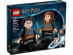 Harry Potter & Hermione Granger - View 2