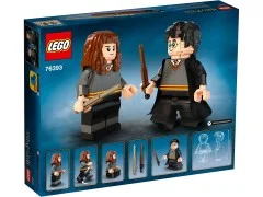 Harry Potter & Hermione Granger - View 3