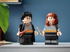 Harry Potter & Hermione Granger - View 6