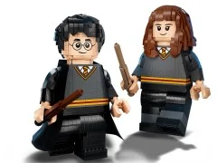 Harry Potter & Hermione Granger - View 7