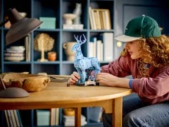 Expecto Patronum - View 6