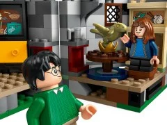 Hagrid's Hut: An Unexpected Visit - View 8