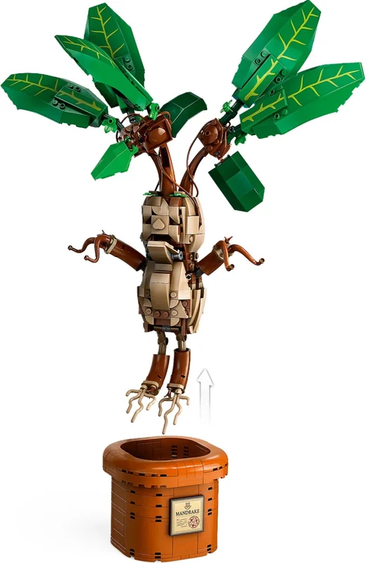 Mandrake - View 2