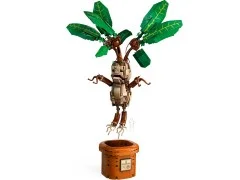 Mandrake - View 2