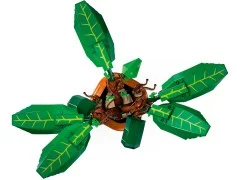 Mandrake - View 4