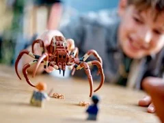 Aragog in the Forbidden Forest - View 8
