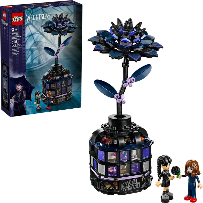 Black Dahlia Flower - View 4