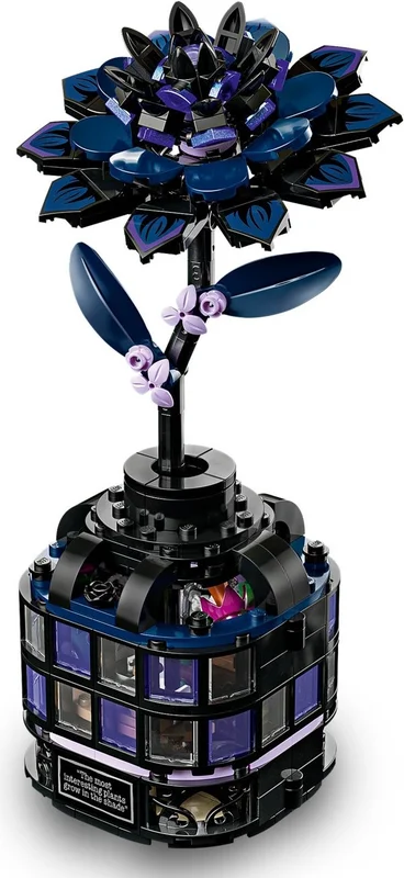 Black Dahlia Flower - View 8