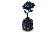 Black Dahlia Flower - View 8