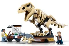 T. rex Dinosaur Fossil Exhibition - View 7