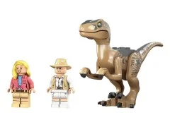 Velociraptor Escape - View 5
