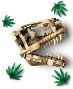 Dinosaur Fossils: T. rex Skull - View 3