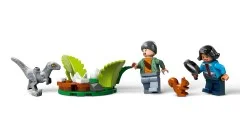 Dinosaur Missions: Stegosaurus Discovery - View 5