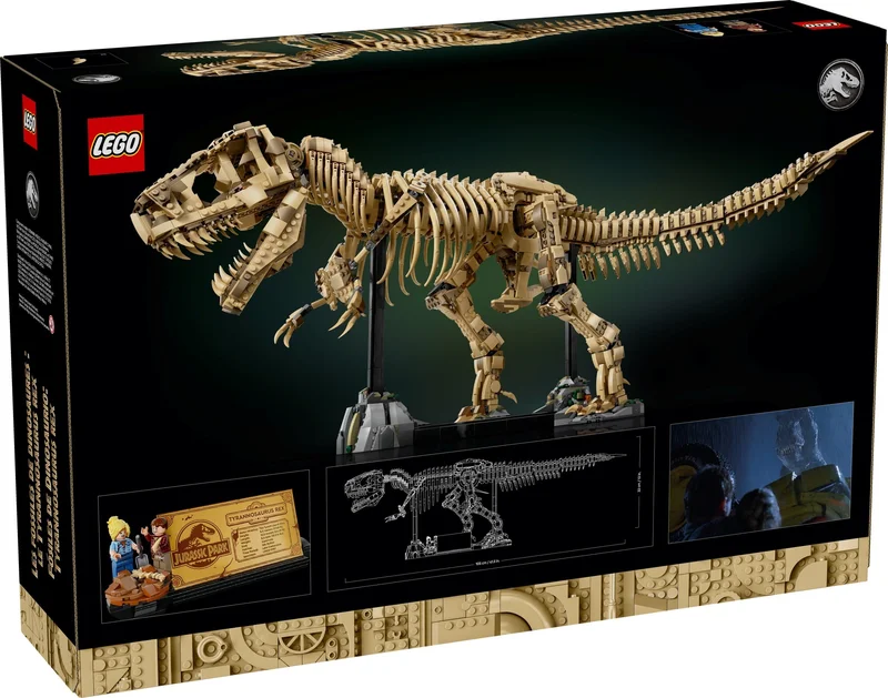 Dinosaur Fossils: Tyrannosaurus Rex - View 2