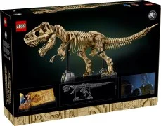 Dinosaur Fossils: Tyrannosaurus Rex - View 2