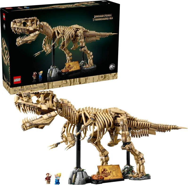 Dinosaur Fossils: Tyrannosaurus Rex - View 3