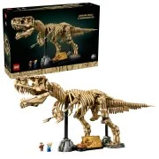Dinosaur Fossils: Tyrannosaurus Rex - View 3