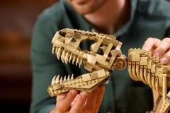 Dinosaur Fossils: Tyrannosaurus Rex - View 5